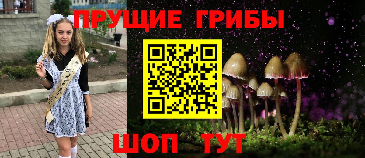 Псилоцибиновые грибы Cubensis  Вход с VPN  Псилоцибиновые грибы прущие грибы  Качканар 